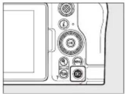 NIKON Z 6III - Visualisation - 1
