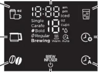 13:00 am Single Carafe 18 oz Bold 18 cups Regular Brewing Warm Auto BREW INFUSER