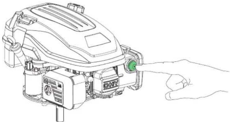 Texas Razor 4611W - 8