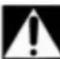 Lescha E-PowerBarrow - WARNING! - 1