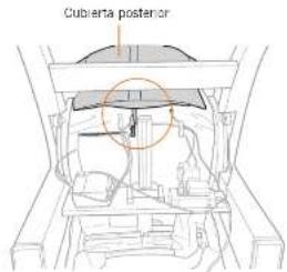 Cubierta posterior