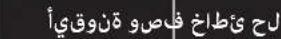 Xtorm XP2W300 - لصنت - 1