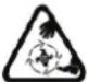 WESTINGHOUSE WSnow13S - SÍMBOLOS DE SEGURIDAD - 14