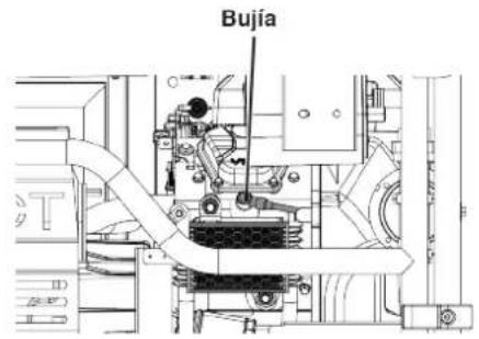 WESTINGHOUSE WGen14500c - MANTENIMIENTO DE BUJÍAS - 1