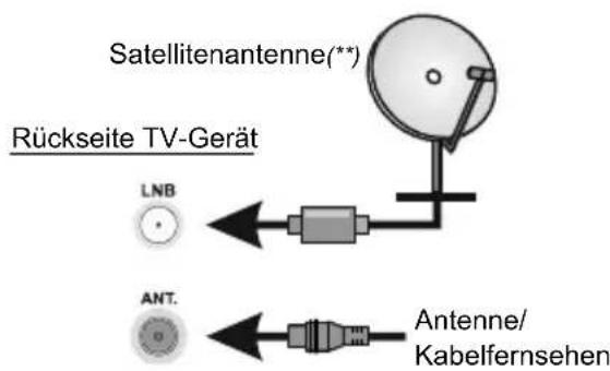 TOSHIBA 24WV3E63DG - Antenne - 1