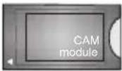 TOSHIBA 65QV3363DG - Connexions - 14