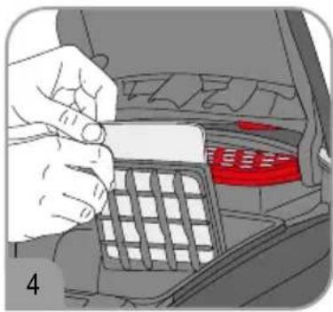 SEVERIN BC 7052 - Cleaning the motor filter - 1