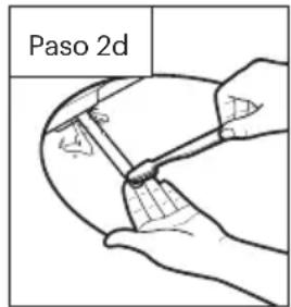 Paso 2d