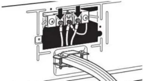 MAYTAG MED7020RF - Conecte los cables restantes - 1