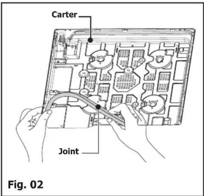 Carter Joint Fig. 02