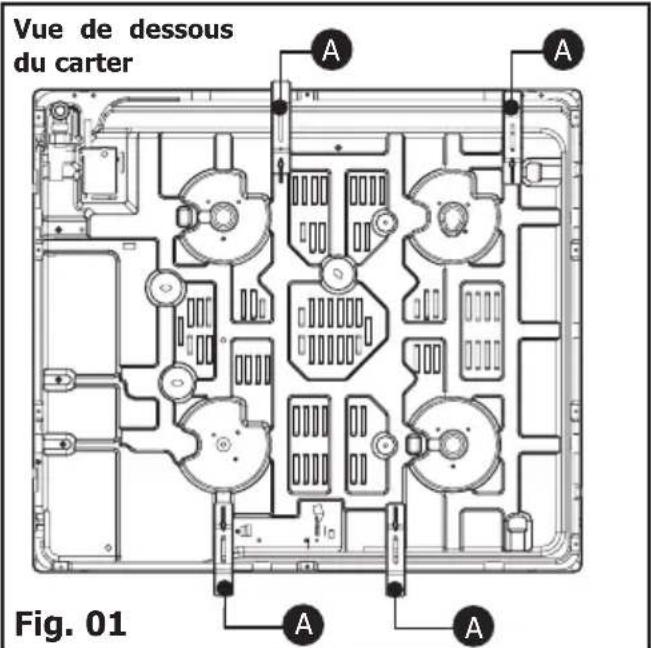 Vue de dessous du carter Fig. 01