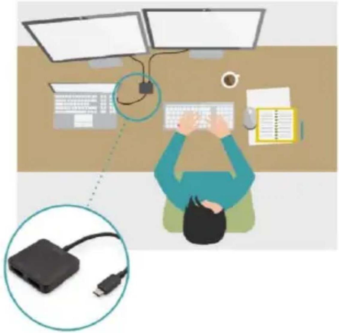 Digitus DS-45339 - Schéma de connexion - 1