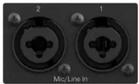 PRESONUS Quantum ES 2 - Face arrière - 7