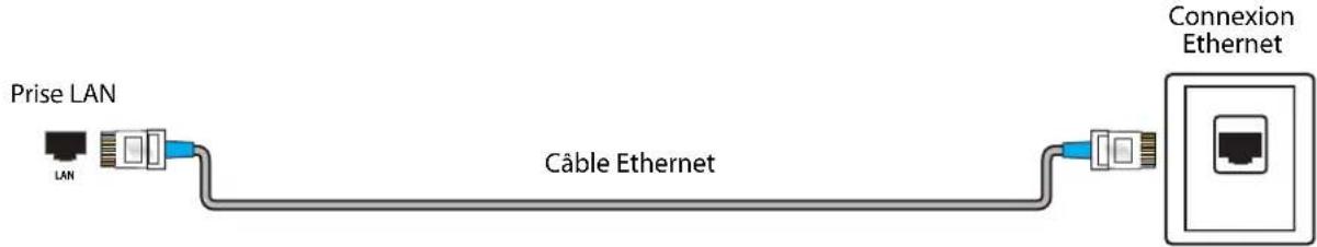 Prise LAN LAN Câble Ethernet Connexion Ethernet