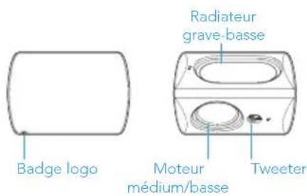 DEFINITIVE TECHNOLOGY Dymension Outdoor AW-550 - Préparation de l'installation - 2