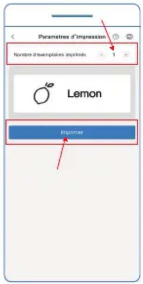 Paramètres d'impression Nombre d'exemplaires imprinés. - 1 + Lemon Impimer