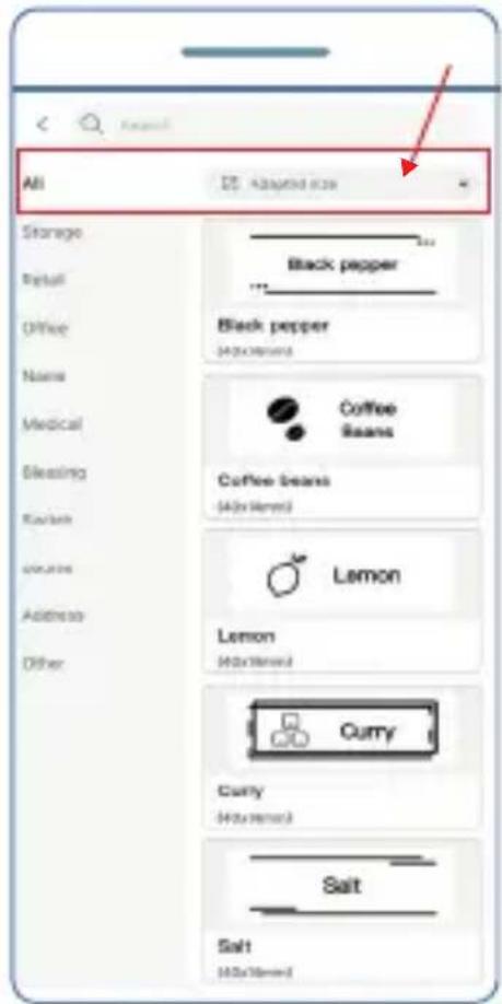 OLYMPIA P22 - Select the desired template. - 2