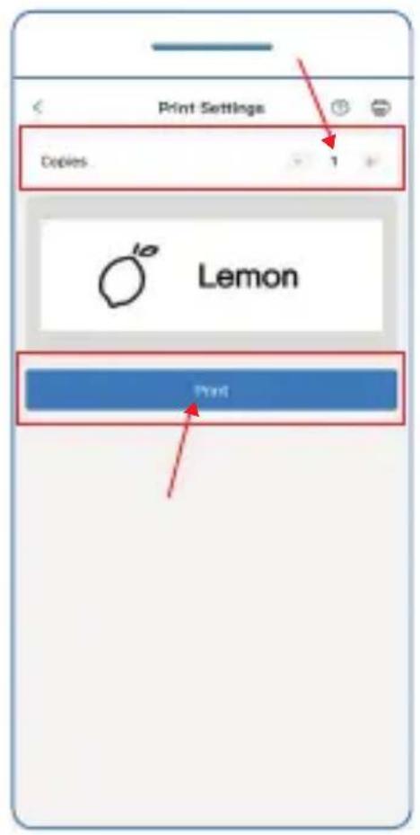 OLYMPIA P22 - Select the desired template. - 4