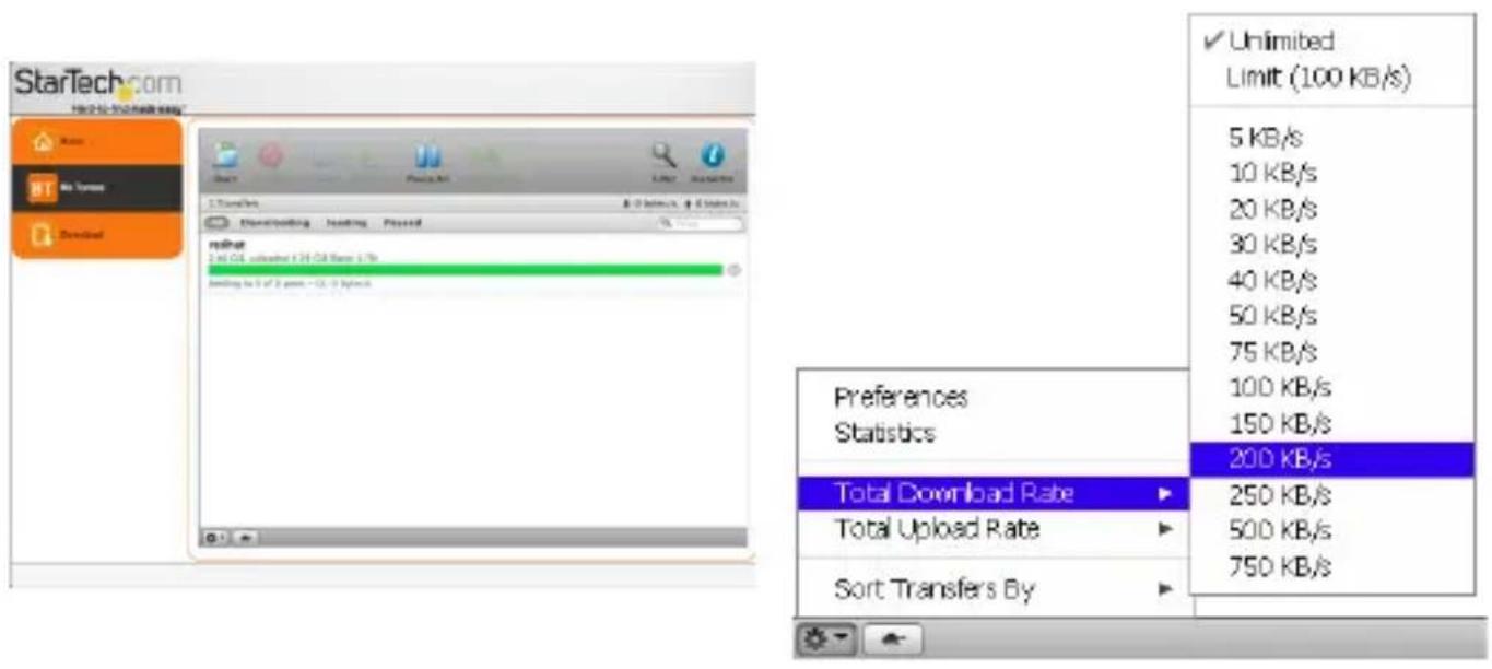 StarTech.com S2510U2WF - BitTorrent - 1