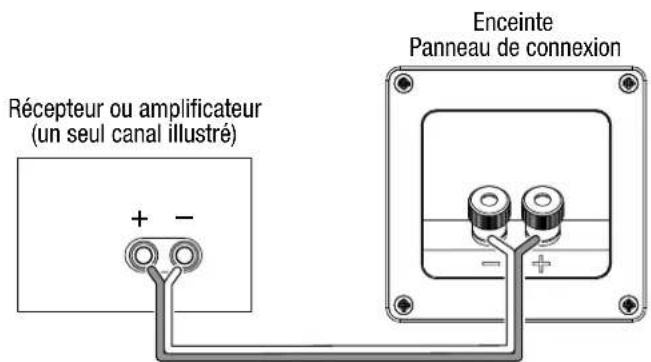 Récepteur ou amplificateur (un seul canal illustré) + - Enceinte Panneau de connexion