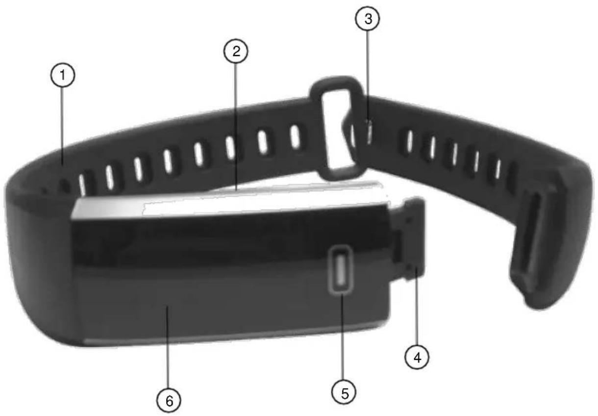 Newgen Medicals FBT-60.BD - Produktdetails - 1