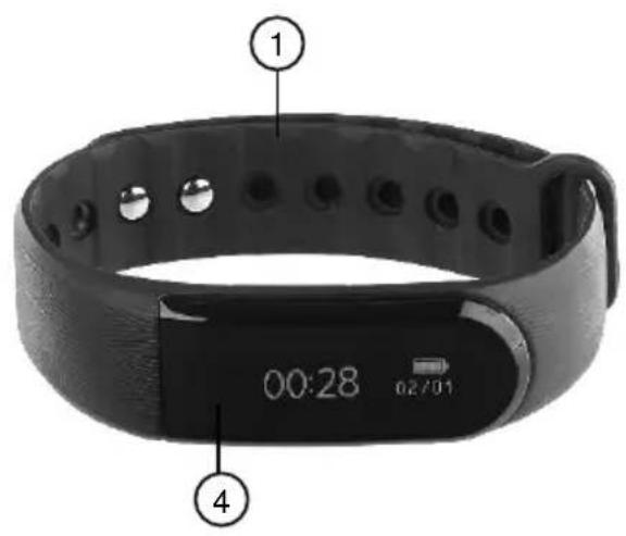 Newgen Medicals FBT-55.HR PRO.V4 - Konformitätserklärung - 3