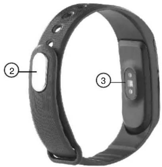 Newgen Medicals FBT-55.HR PRO.V4 - Konformitätserklärung - 4