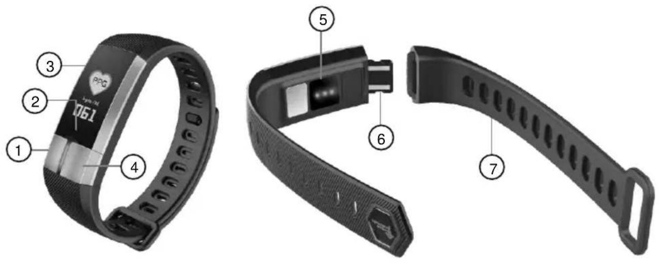 Newgen Medicals FBT-105 - Produktdetails - 1