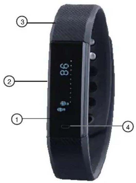 Newgen Medicals FBT-45 - Produktdetails - 1