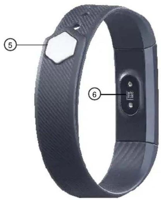 Newgen Medicals FBT-45 - Produktdetails - 2