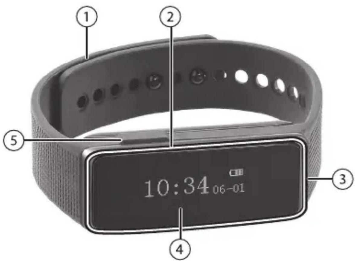 Newgen Medicals FBT-40 - PRODUKTDETAILS - 1
