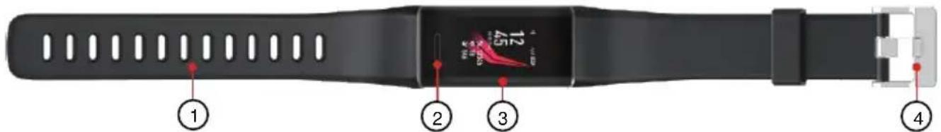 Newgen Medicals FBT-200.gps - Produktdetails - 1