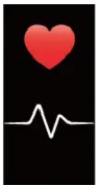 Newgen Medicals FBT-57 - Übersicht Display-Anzeigen - 4