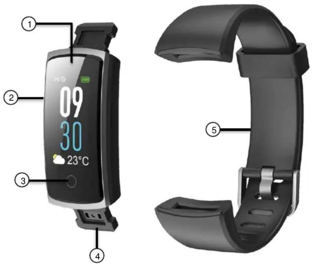 Newgen Medicals FBT-57 - Produktdetails - 1