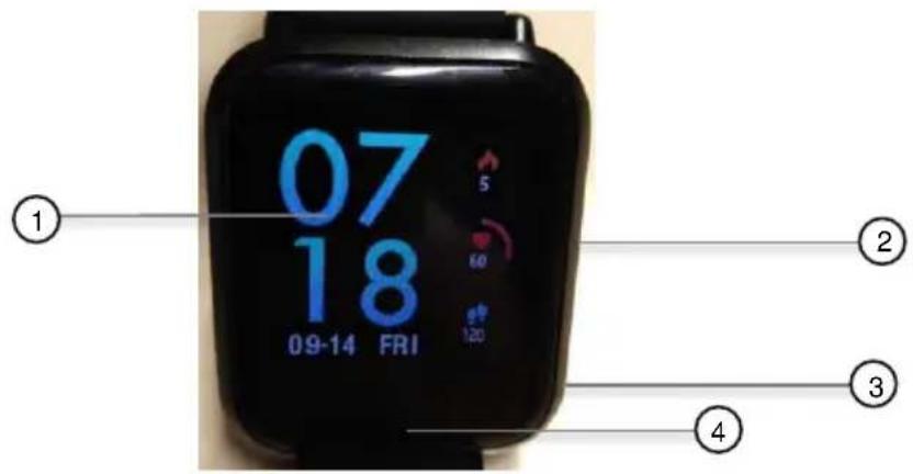 Newgen Medicals SW-320.hr - Fitness-Uhr - 1