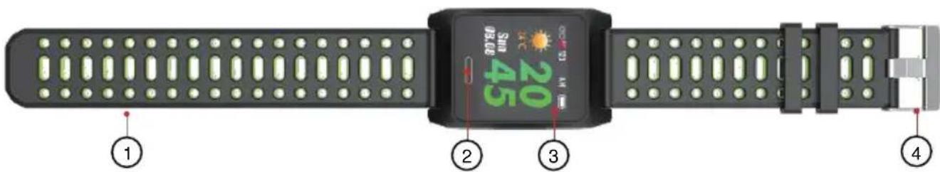 Newgen Medicals FBT-220.gps - Produktdetails - 1