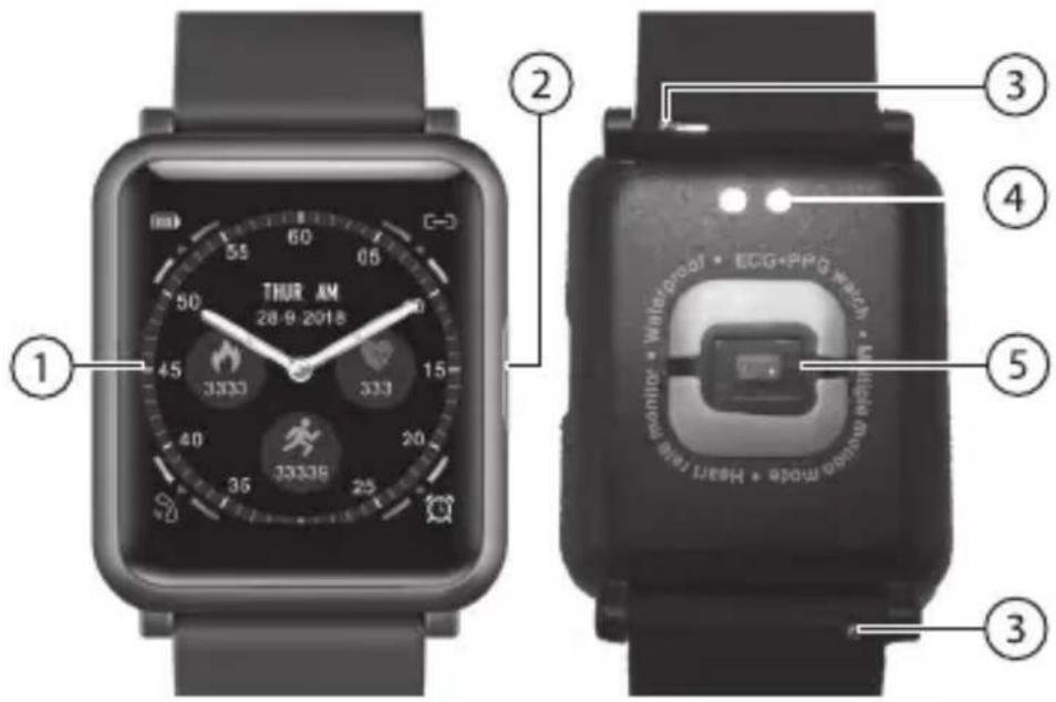 Newgen Medicals SW-450 - DESCRIPTION DU PRODUIT - 1