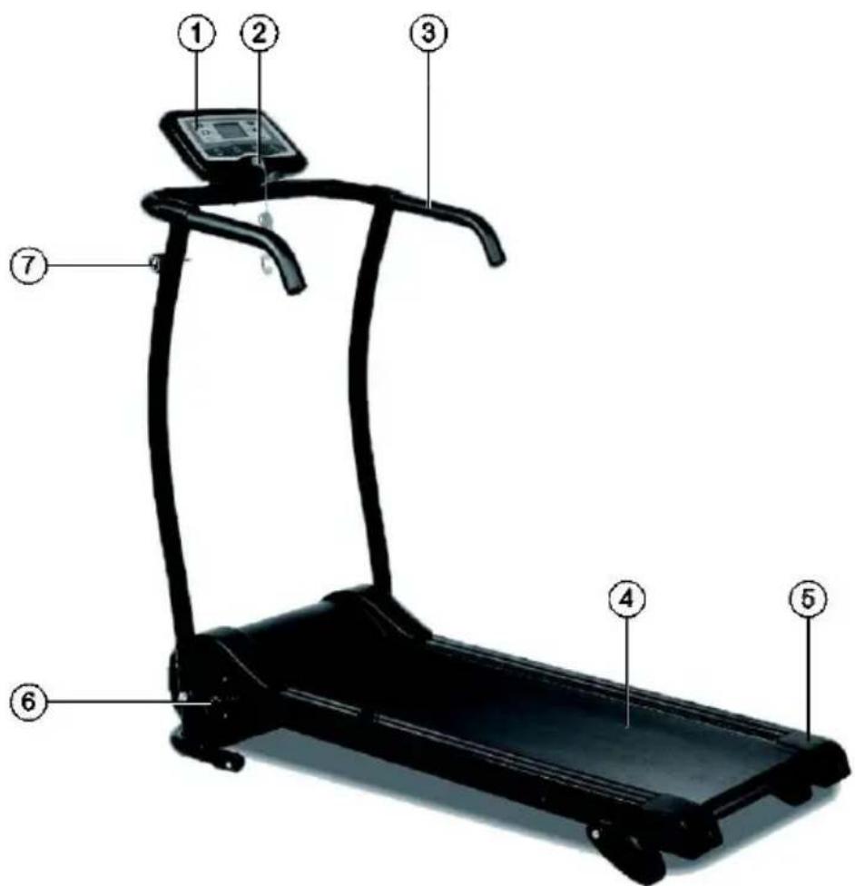 Newgen Medicals LF-303.mini - Produktübersicht - 1