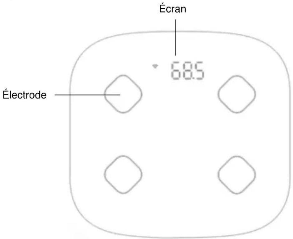 Newgen Medicals SW-400.hr - Pèse-personne - 1