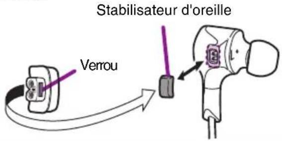 Stabilisateur d'oreille Venrou