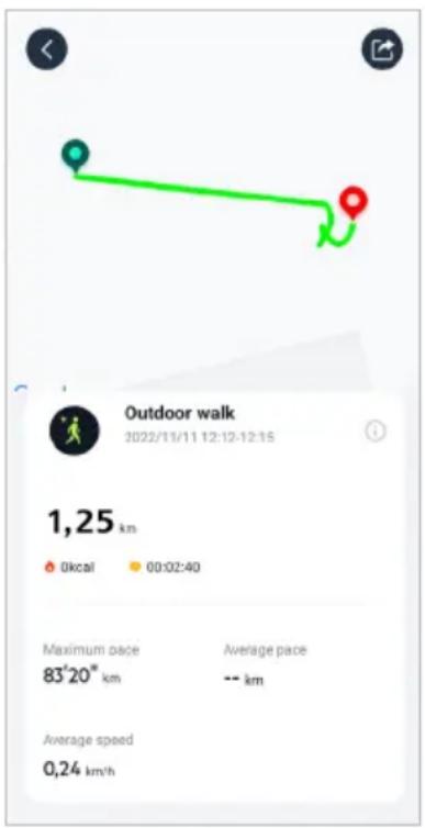 Outdoor walk 2022/11/11 12:12-12:15 1,25 km Okcal 00:02:40 Maximum pace Average pace 83°20' km -- km Average speed 0,24 km/h