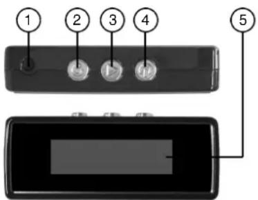 Newgen Medicals FBT-30 V2 - Description du produit - 1