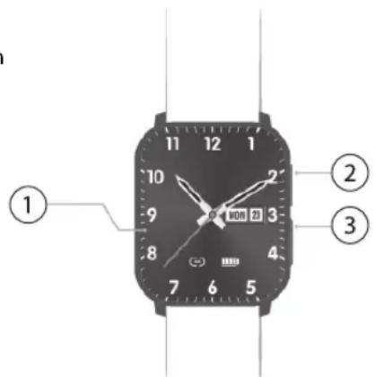 Newgen Medicals SW-480 - PRODUKTDETAILS - 1