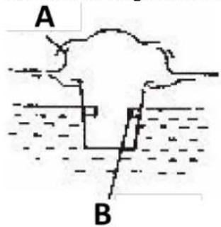 MSW DENGINE-9 - Wahl des Brennstoffs: - 1