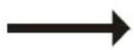 STEINBERG SBS-LEM-40ML - Tips: - 5