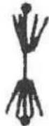 MSW CONCRETE-V7 - COUPE A SEC - 6