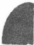MSW CONCRETE-V7 - COUPE A SEC - 2