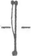 MSW CONCRETE-V7 - KUIVALEIKKAUS - 4