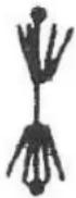 MSW CONCRETE-V7 - СУХО РЯЗАНЕ - 5