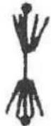 MSW CONCRETE-VPO750 - COUPE A SEC - 6